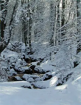 Hotel Hotel-restaurant L'auberge 3*